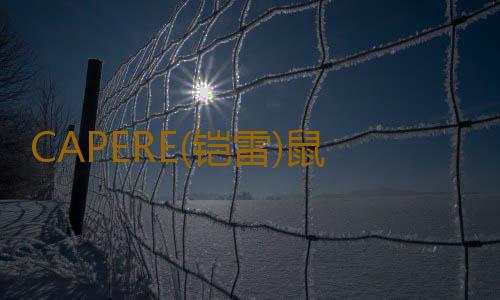 CAPERE(铠雷)鼠标垫护腕 慢回弹 亲肤电脑办公舒适硅胶黑色手托