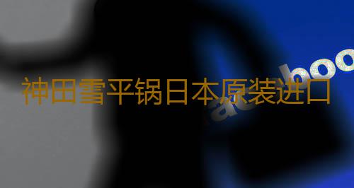 神田雪平锅日本原装进口不锈钢小奶锅家用煮面汤锅泡面锅小煮锅子