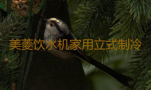 美菱饮水机家用立式制冷制热台式小型办公室桶装水全自动智能新款