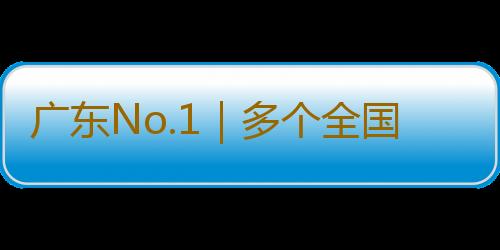 广东No.1｜多个全国第一！广东“玩具之都”点燃文化产业新活力