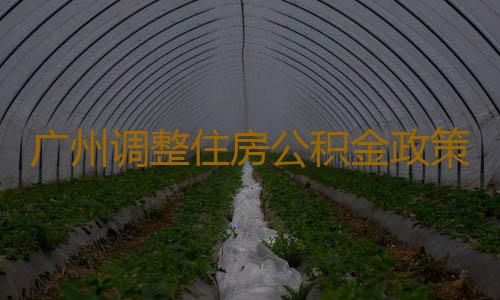 广州调整住房公积金政策：可提取公积金用于首付不影响贷款额度计算