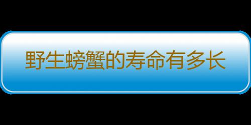 野生螃蟹的寿命有多长