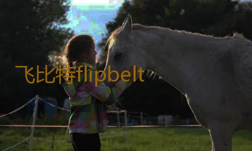 飞比特flipbelt跑步腰包男手机收纳袋水壶腰带女夏马拉松运动装备