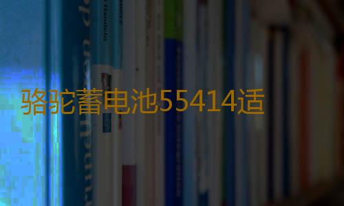 骆驼蓄电池55414适配桑塔纳2000老捷达汽车电瓶54AH 以旧换新