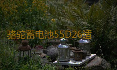 骆驼蓄电池55D26适配马自达5索纳塔凯美瑞60ah汽车电瓶 以旧换新