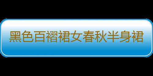 黑色百褶裙女春秋半身裙中长款显瘦两面穿网纱裙双面a字蕾丝裙子