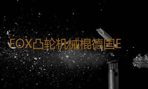 FOX凸轮机械棍德国EKA甩棍技术狐狸伸缩棍棒甩辊摔棍防身武器合法