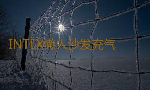 INTEX懒人沙发充气榻榻米沙发气垫床座椅单人折叠躺椅沙发床